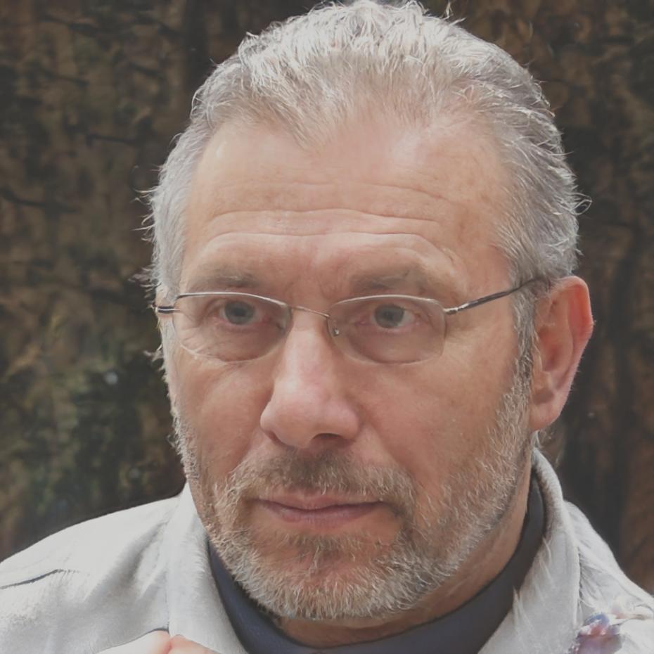 Ritratto di Luca Bertolini